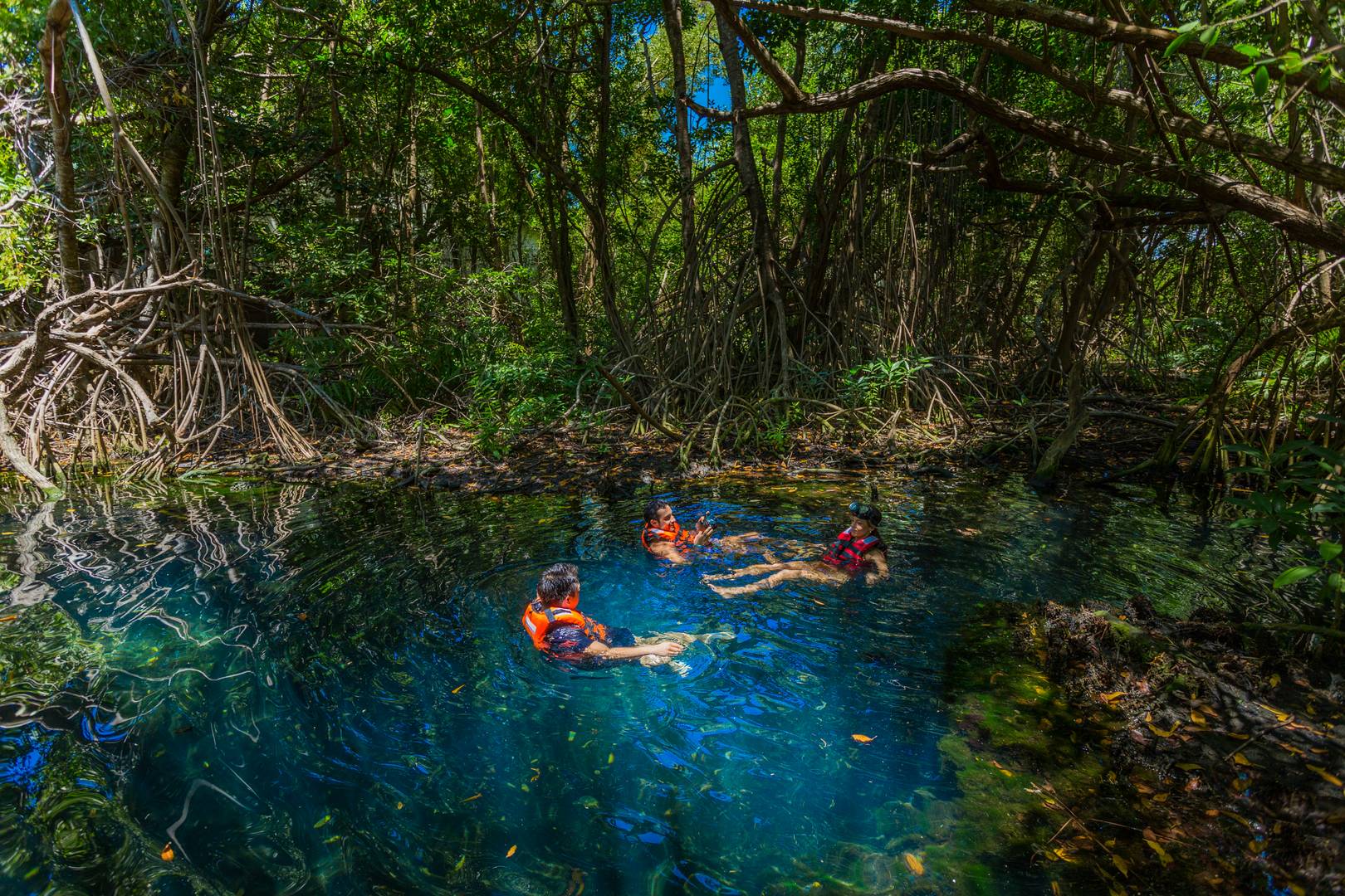 Cancun Vacations - Sandos Caracol Nature Resort and Water Park - All-Inclusive - Property Image 4