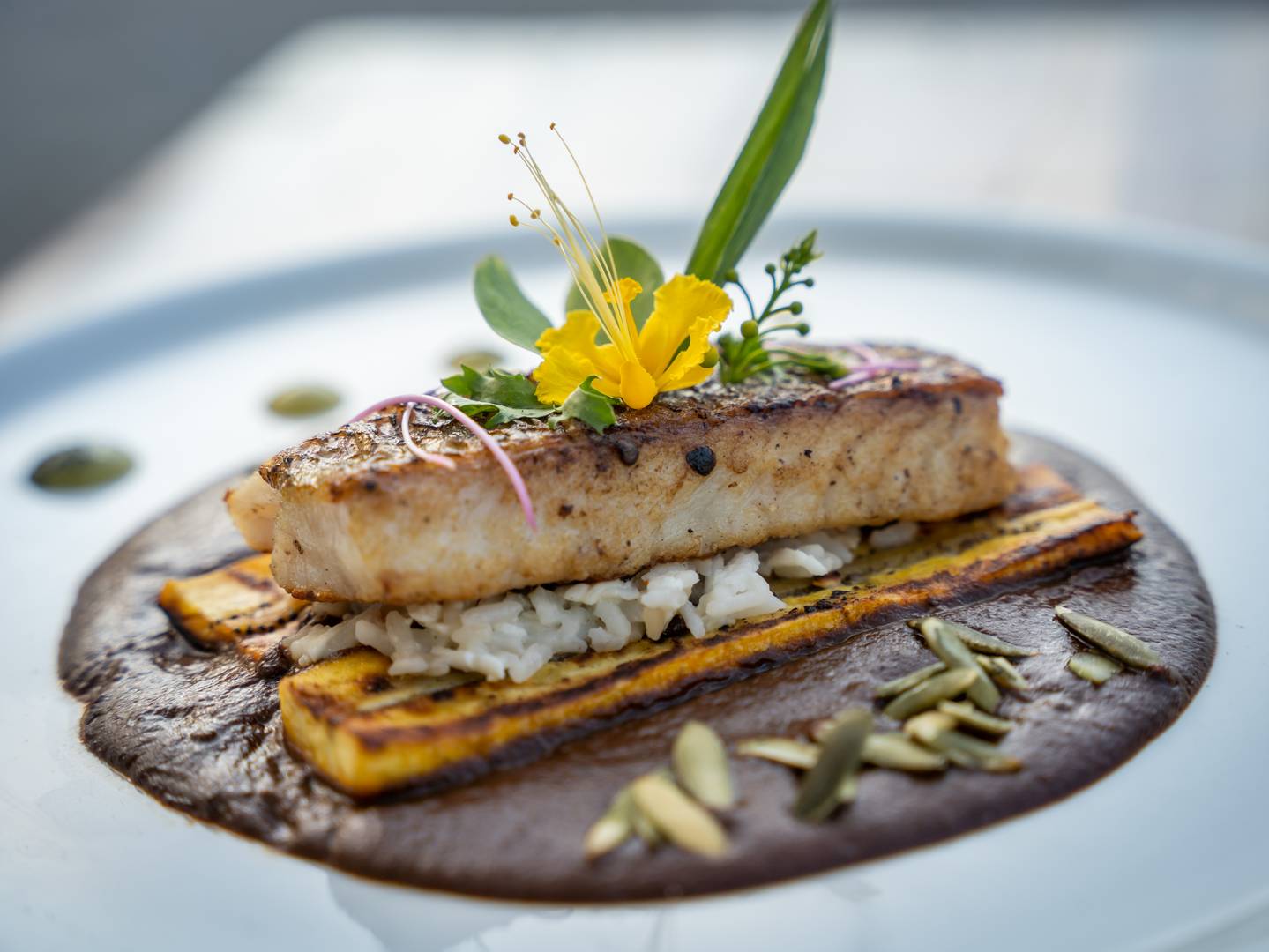 Sandos Caracol Eco Resort - All-Inclusive