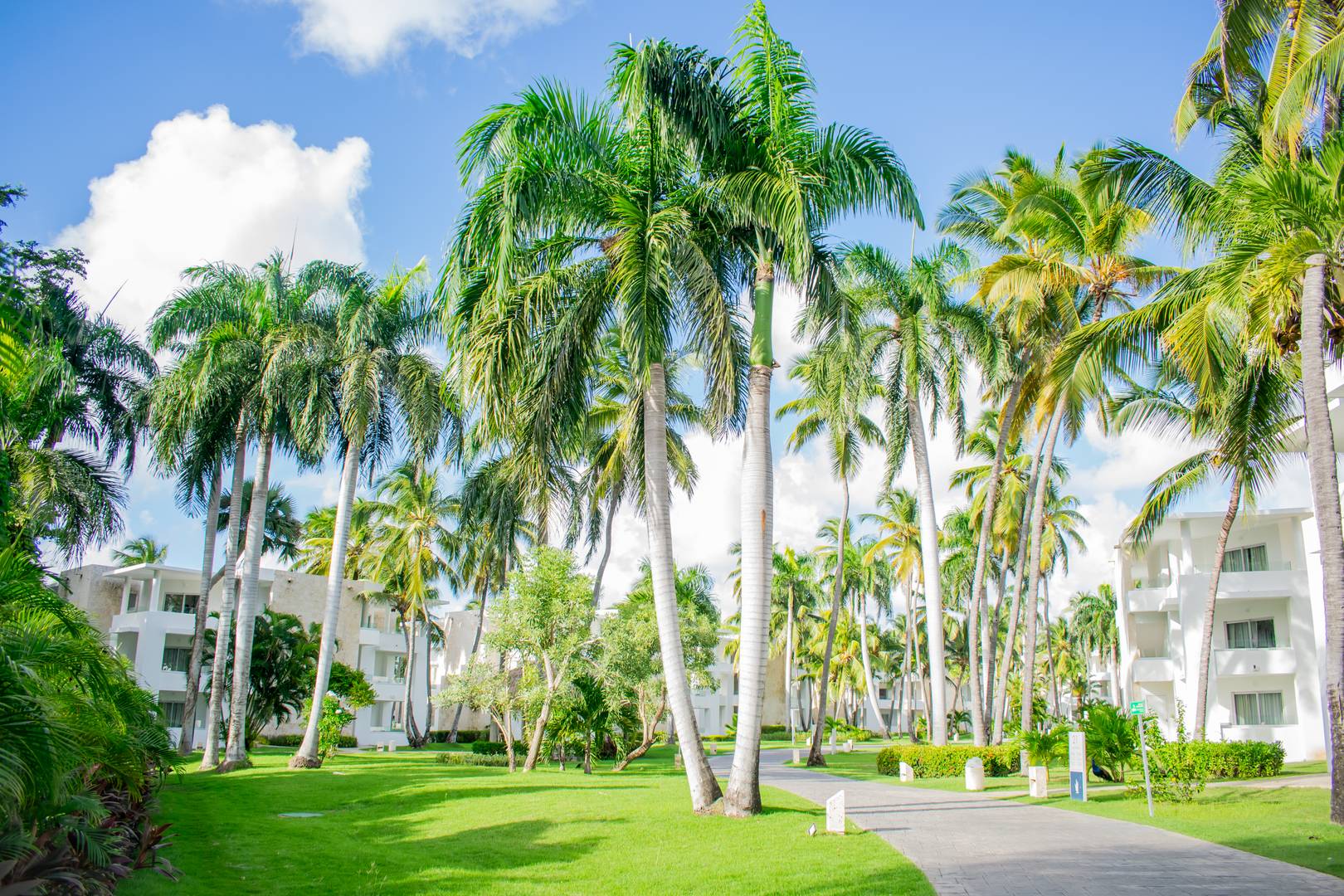 Punta Cana Vacations - Grand Bavaro Princess All-Suites Resort - All-Inclusive - Property Image 13