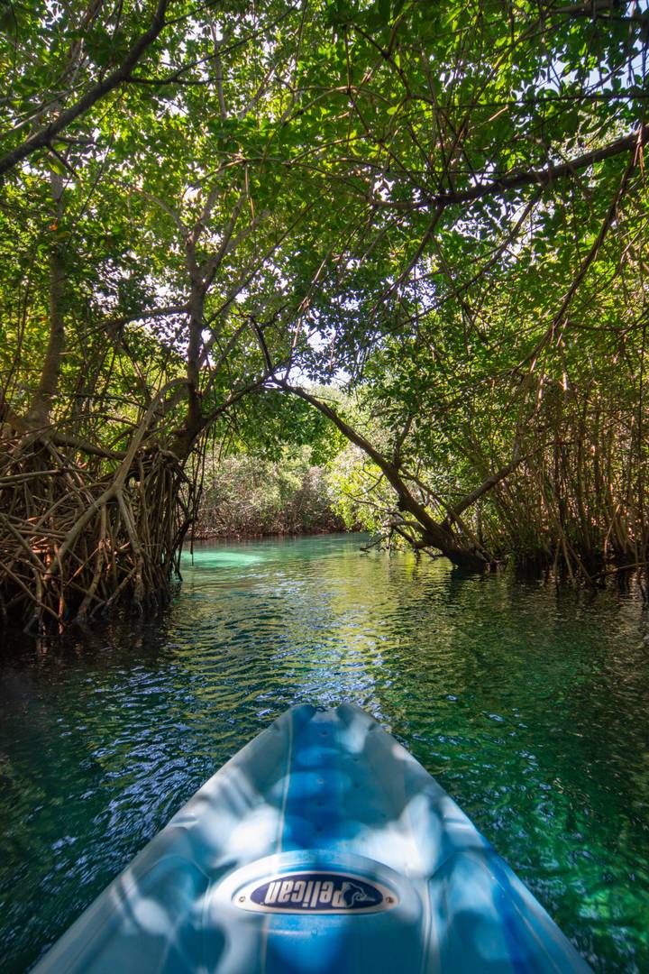 Cancun Vacations - Hacienda Tres Rios All Suites Resort Spa and Nature Park - All-Inclusive - Property Image 20