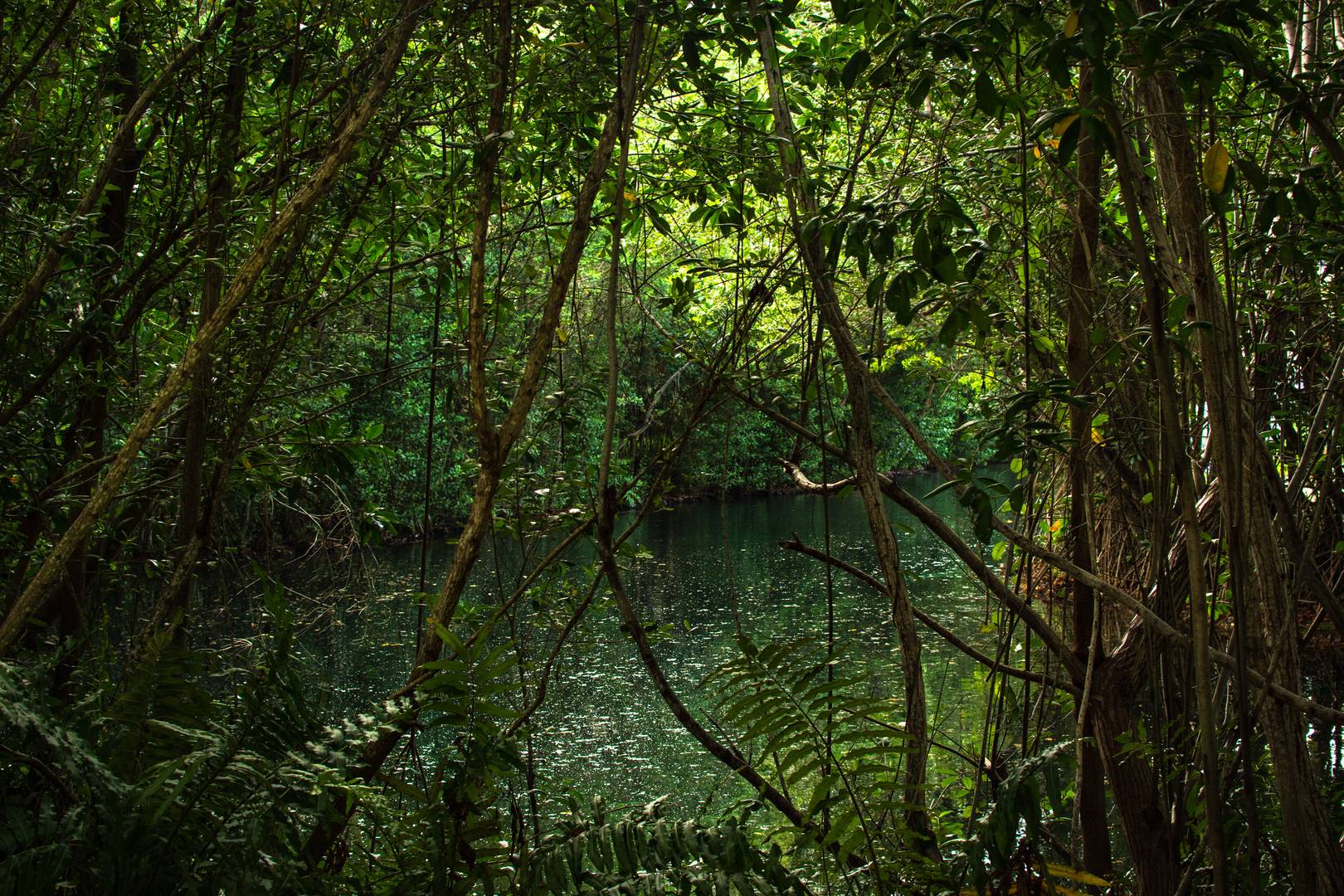 Cancun Vacations - Hacienda Tres Rios All Suites Resort Spa and Nature Park - All-Inclusive - Property Image 41
