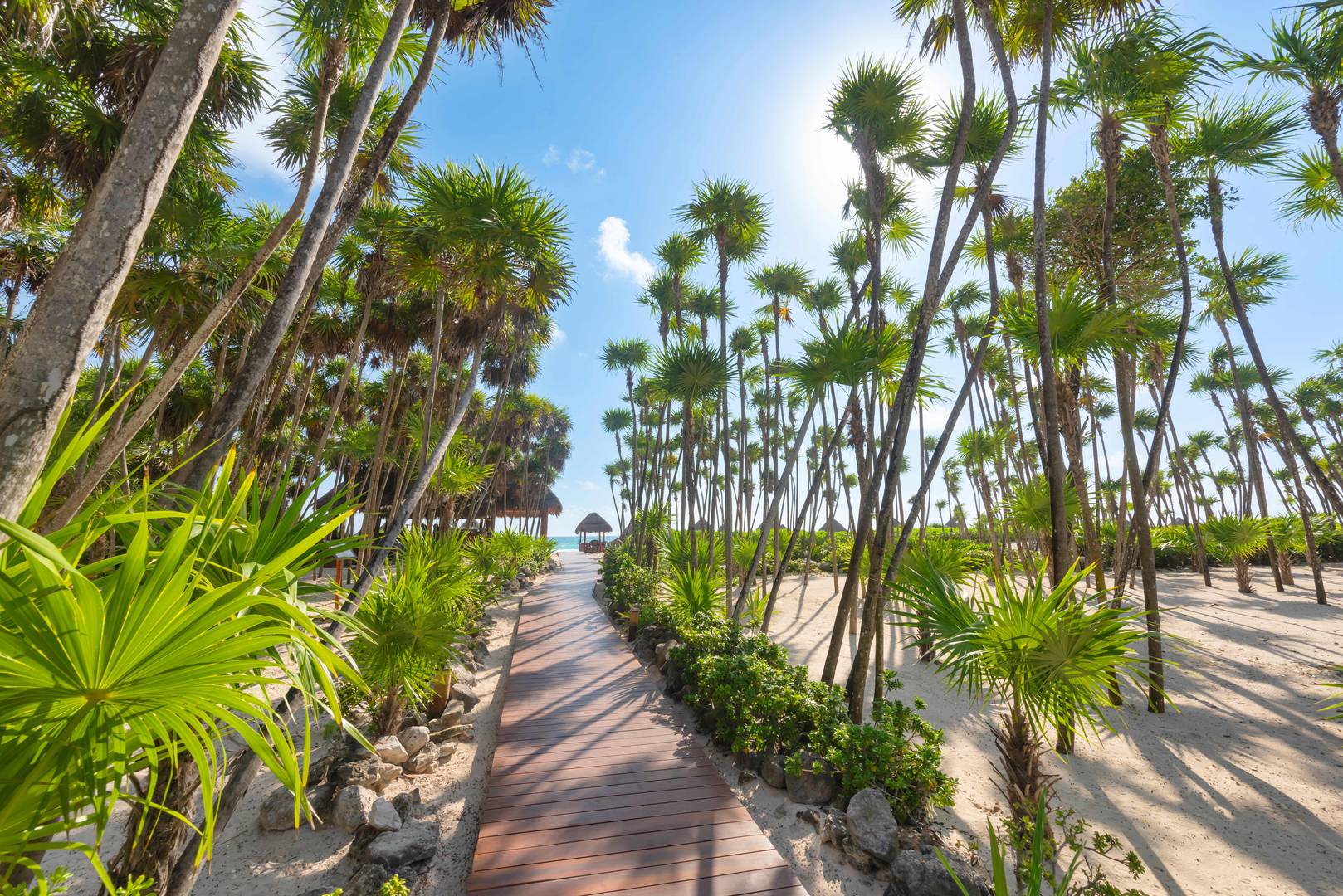 Cancun Vacations - Valentin Imperial Riviera Maya - Adults-Only, All-Inclusive - Property Image 25