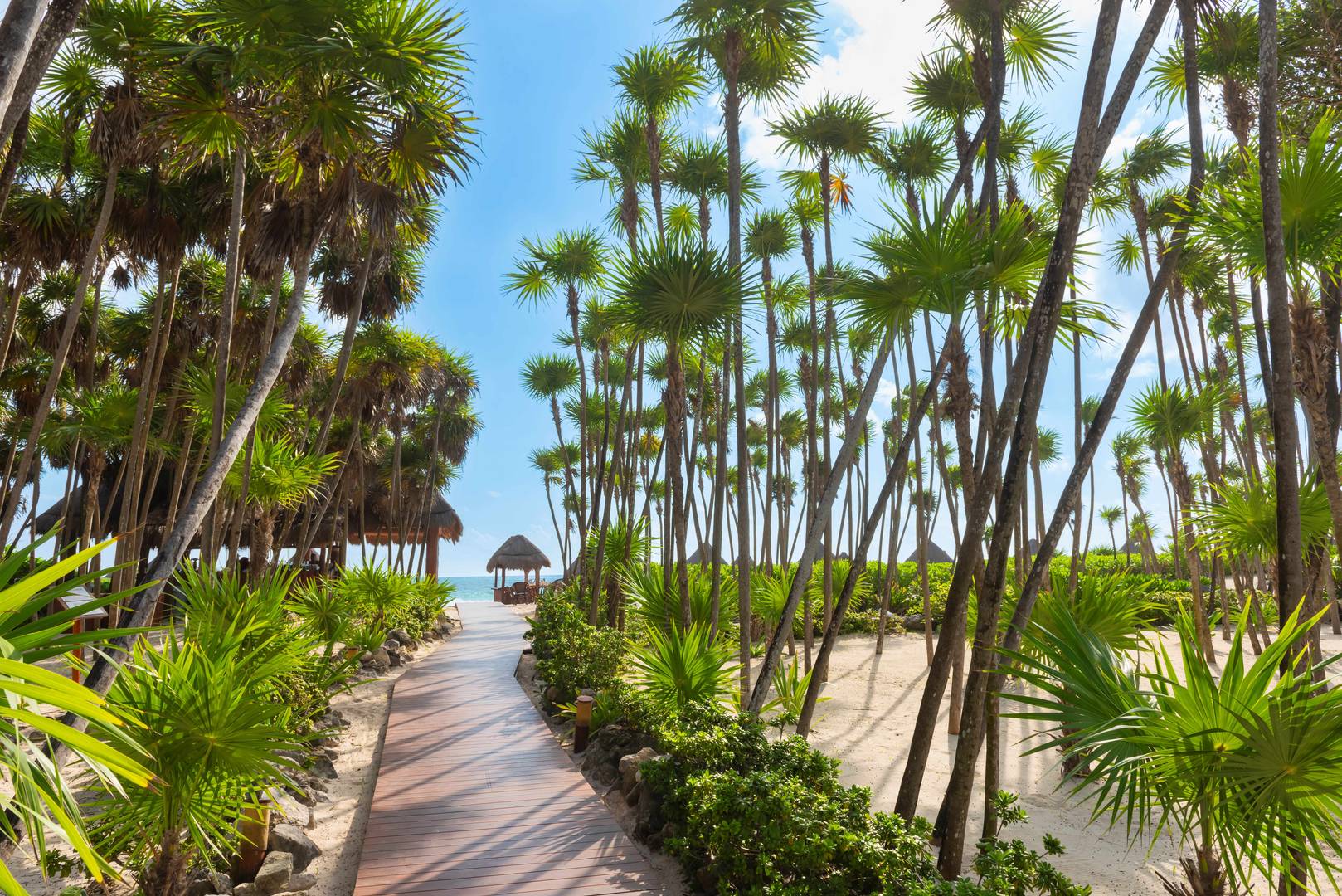 Cancun Vacations - Valentin Imperial Riviera Maya - Adults-Only, All-Inclusive - Property Image 47