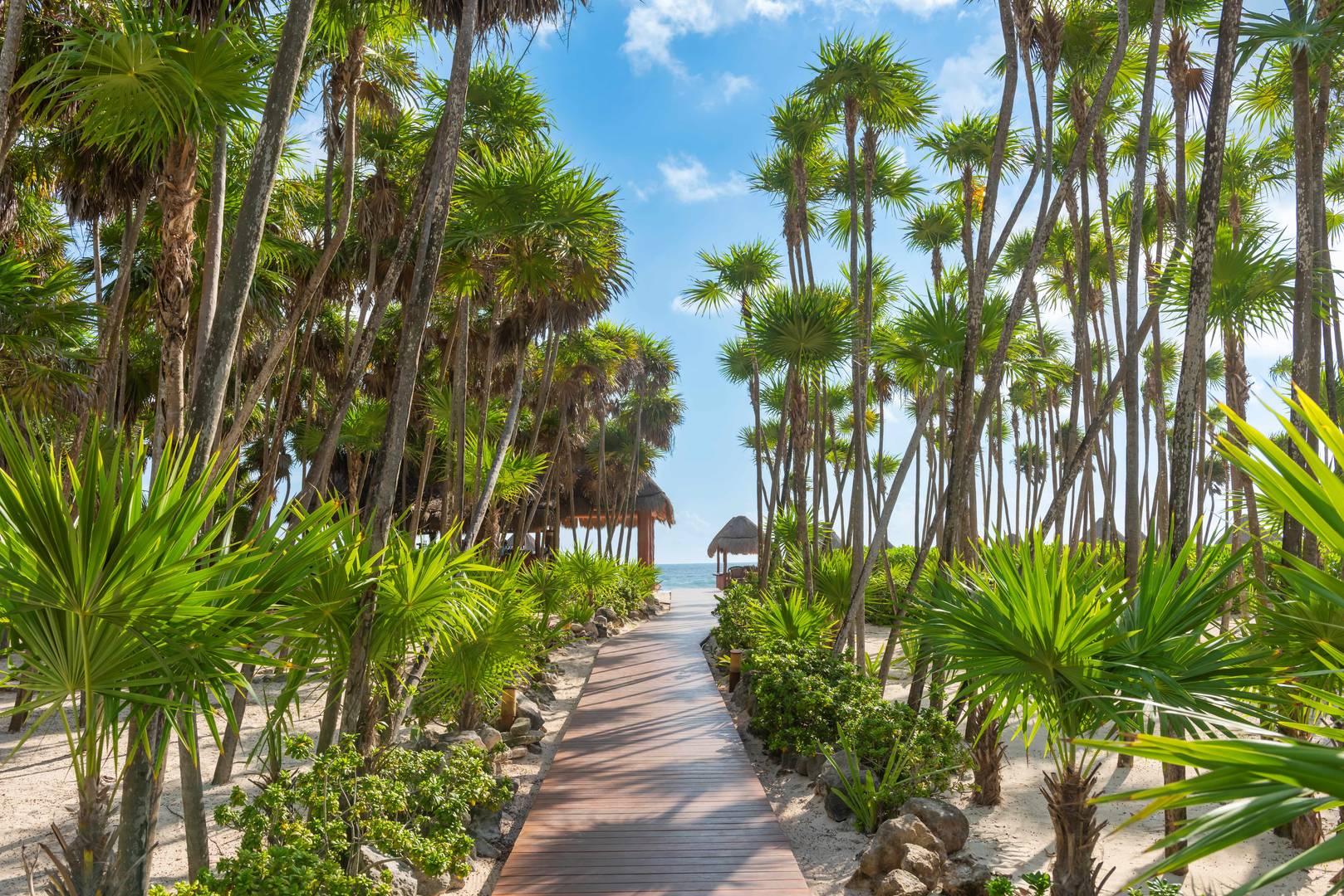 Cancun Vacations - Valentin Imperial Riviera Maya - Adults-Only, All-Inclusive - Property Image 27