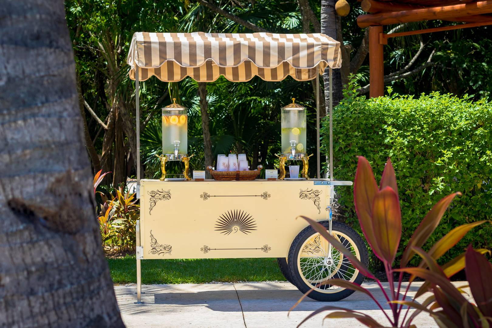 Cancun Vacations - Valentin Imperial Riviera Maya - Adults-Only, All-Inclusive - Property Image 121