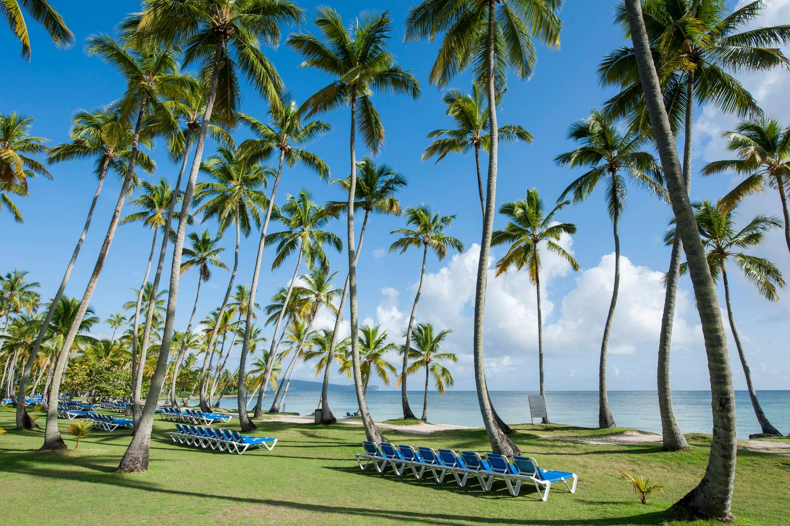 Samana Vacations - Wyndham Alltra Samana - All-Inclusive - Property Image 6