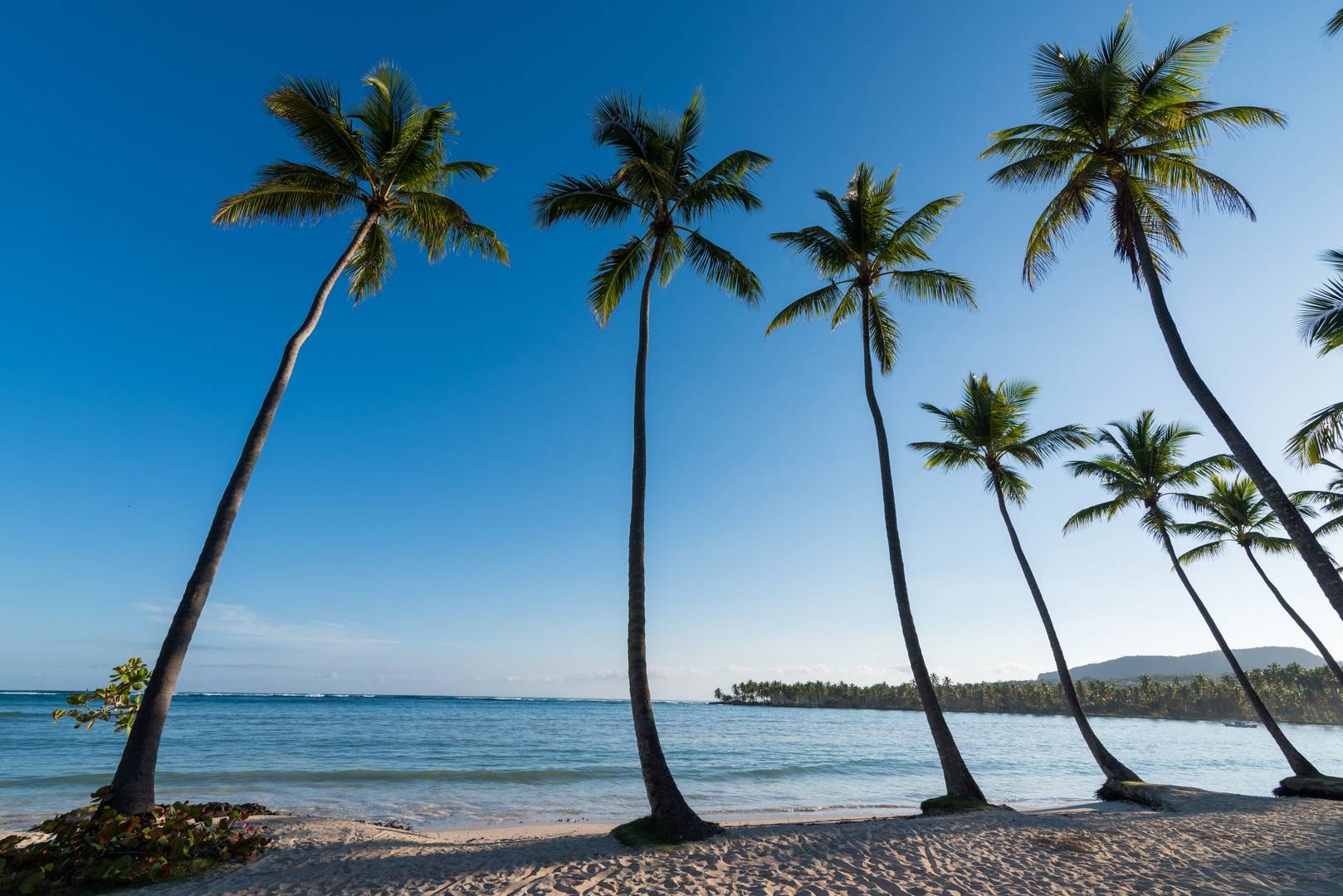 Samana Vacations - Wyndham Alltra Samana - All-Inclusive - Property Image 4